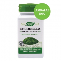 Chlorella Micro-Algae